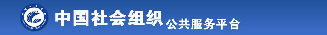 湿插啊啊全国社会组织信息查询